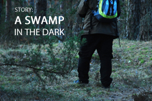 Featured A Swamp In The Dark