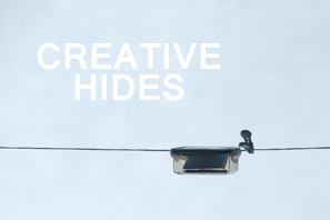 Featured Creative Hides