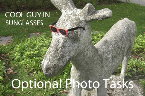 Featured Optional Photo Tasks